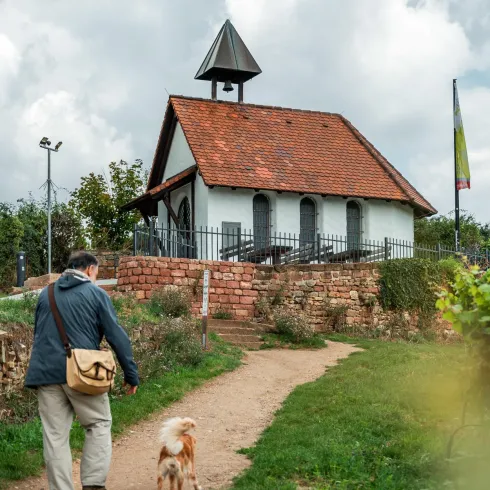 Ein Spaziergänger mit einem Hund geht einen Weg zu einer kleinen Kirche. Die Umgebung ist grün mit Weinbergen und einem bewölkten Himmel.