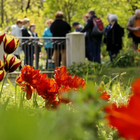 Ein blühender Garten mit roten und gelben Tulpen im Vordergrund. Im Hintergrund stehen Menschen zusammen und genießen die Natur.