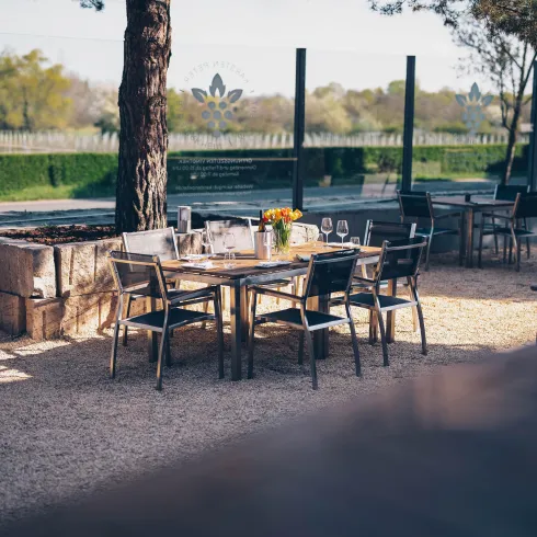 Ein einladender Außenbereich mit Tischen und Stühlen unter einem Baum. Die Umgebung ist grün und ruhig, ideal für ein gemütliches Essen.