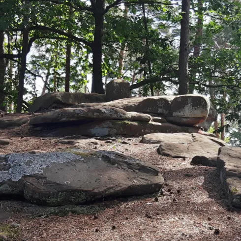 Ein großer Felsen inmitten von Bäumen im Wald. Die Umgebung wirkt ruhig und natürlich.