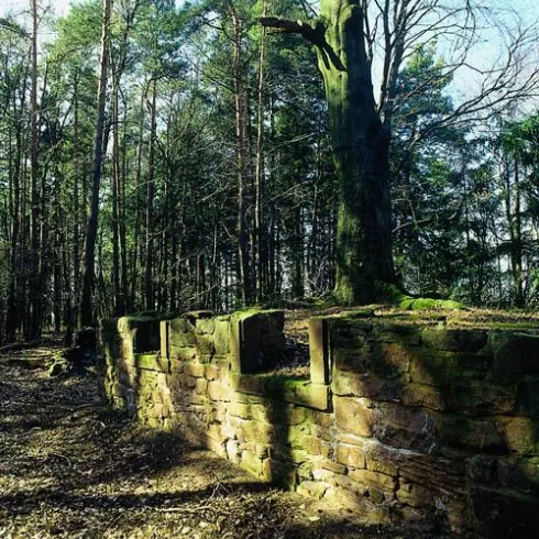 Ruine mit Fenster (© Stadt Bad Dürkheim)