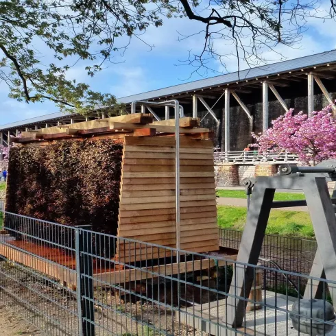 Ein schöner Park mit blühenden Bäumen und einer modernen Holzstruktur. Im Hintergrund ist ein großer Bau zu sehen.