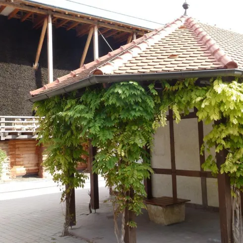 Eine überdachte Laube mit üppigem Grün und einer roten Dachziegeln. Im Hintergrund ist ein Holzgebäude sichtbar.