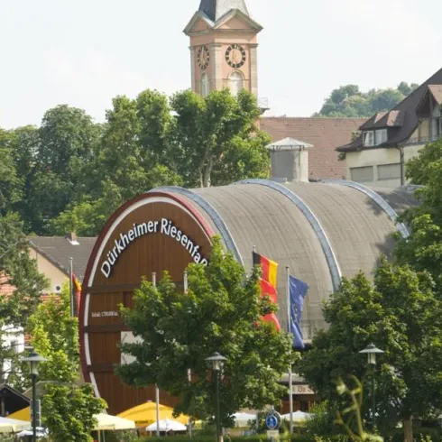 Fassführung Fassführung