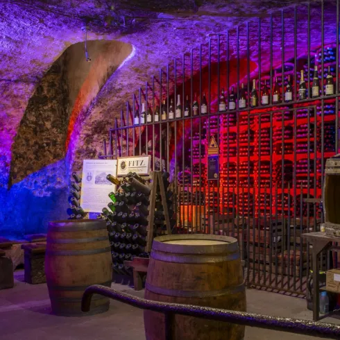 Weingut Fitz-Ritter illuminierter Gewölbekeller