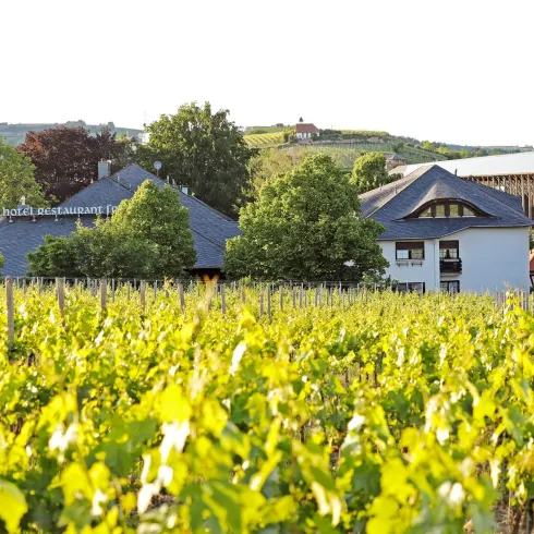 Hotel Außenansicht (© Hotel-Restaurant Fronmühle)