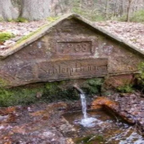 Schleip-Brunnen (© Willi Rutz)