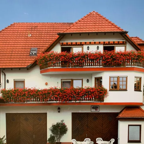 Weingut, Gästezimmer Weingut, Gästezimmer