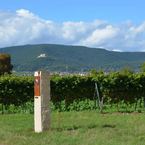 Stele Bibl. Weinpfad vorm Hambacher Schloss