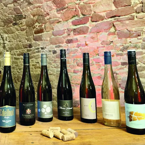 260328 Jahrgangsverkostung©2025 Weinbauverein