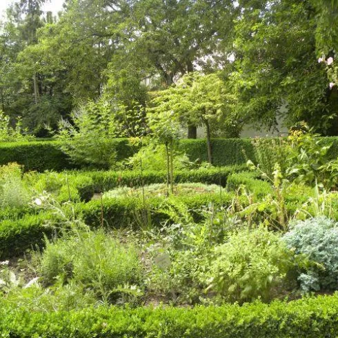 Ein schöner Garten mit grünen Hecken und verschiedenen Pflanzen. In der Mitte befindet sich ein labyrinthisches Design aus Büschen.