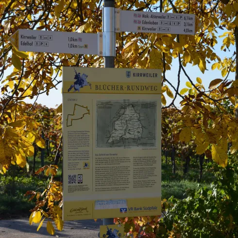 Ein Wegweiser mit einer Informationskarte über die Region. Im Hintergrund sind gelbe Blätter von Bäumen zu sehen.