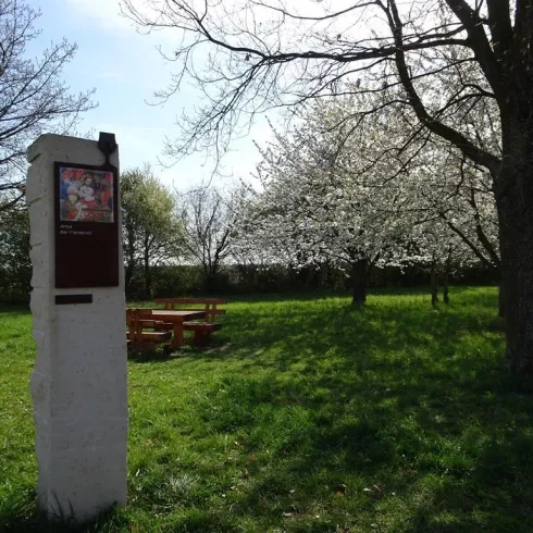 Ein idyllischer Park mit blühenden Bäumen und einer kleinen Sitzgruppe aus Holzbänken. Im Vordergrund steht ein Informationsschild.