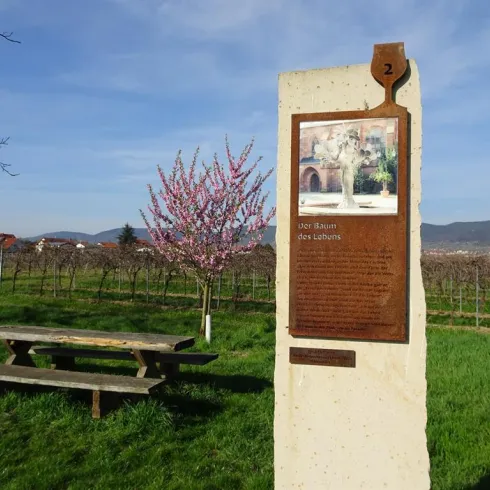 Ein Schild mit Informationen über den "Baum des Lebens" steht auf einer Wiese. Im Hintergrund blühen Bäume und die Landschaft ist grün mit Weinbergen.