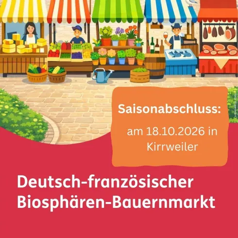 Ein bunter Wochenmarkt mit Ständen und frischen Produkten ist zu sehen. Die Veranstaltung findet am 18.10.2026 in Kirrweiler statt.