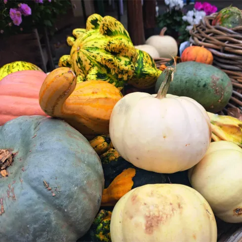 261018 Bauernmarkt©2025 Harry Schmeisser