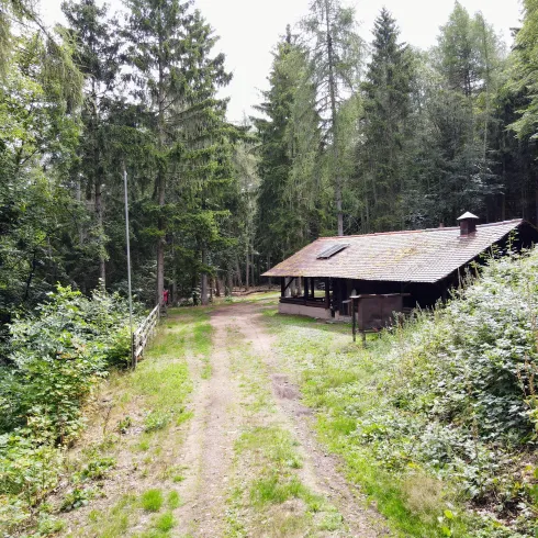 Ein Waldweg führt zu einer kleinen, rustikalen Hütte. Der Bereich ist von dichten Bäumen und grünen Sträuchern umgeben.