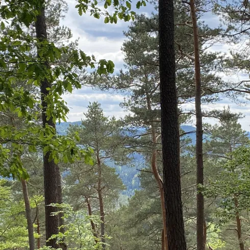 Kieskautberg Kieskautberg