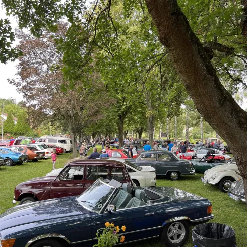 Ein Autofestival im Park mit vielen klassischen Autos und einem großen Publikum. Im Vordergrund steht ein blauer Oldtimer neben einem Tisch mit einer Blumenvase.