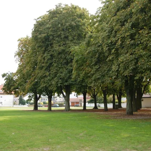 Marktplatz Rheinzabern (© Verbandsgemeinde Jockgrim)