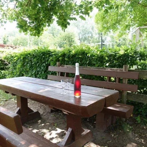 Ein rustikaler Holztisch mit einer Flasche Getränk und zwei Gläsern steht im Freien. Umgeben von üppigem Grün ist es ein einladender Ort zum Entspannen.