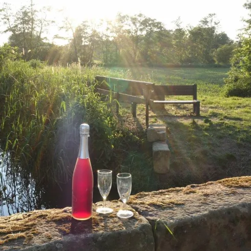 Eine Flasche roséfarbenes Getränk steht auf einem Stein, neben zwei Gläsern. Im Hintergrund ist eine grüne Wiese mit einer Bank und Bäumen zu sehen.