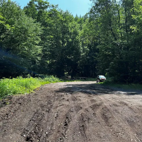Ein schmaler, unbefestigter Weg führt durch einen grünen Wald. Am Ende des Weges steht ein Fahrzeug.