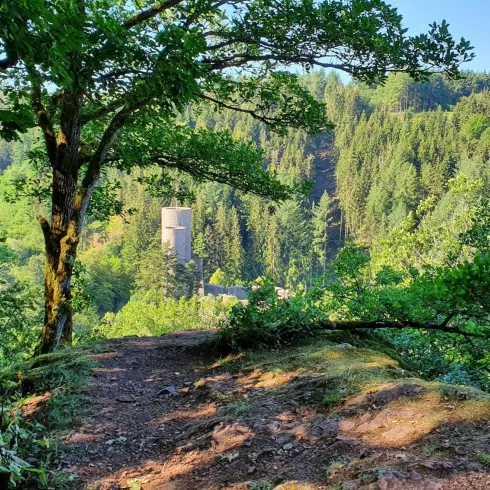 Burgblick