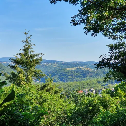 Aussichtspunkt Wildelei_Traumschleife Gräfin Loret