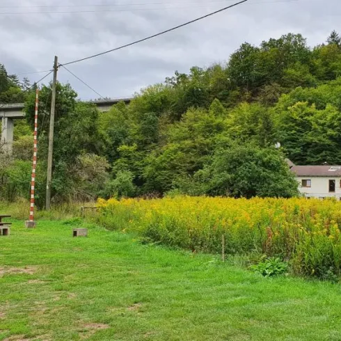 Eine ruhige Landschaft mit einem kleinen Holzpavillon und Wiese voller gelber Blumen. Im Hintergrund sind Bäume und ein Gebäude sichtbar.