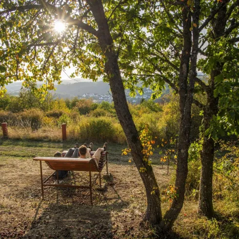 Eine ruhige Szene im Freien mit einem Paar, das auf einer Bank sitzt. Bäume und sanftes Licht schaffen eine entspannte Atmosphäre.