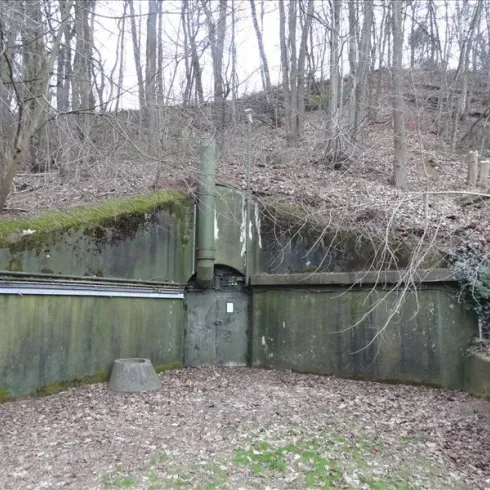 Eine verlassene Betonstruktur in einem bewaldeten Gebiet, umgeben von trockenem Laub und Bäumen. Die Wand ist teilweise von Moos bedeckt.