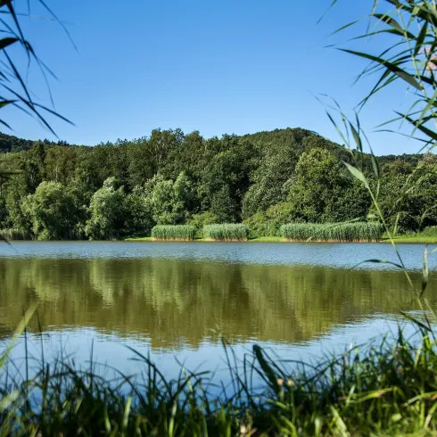 0121_Silbersee_Kindsbach_2018 (© VG Landstuhl, Fotograf Hafner)