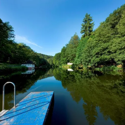 Bärenlochweiher 9027 (© VG Landstuhl, Fotograf Hafner)