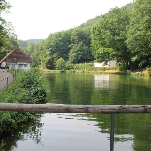 Ein ruhiger See umgeben von Bäumen und grüner Landschaft. Im Hintergrund sind einige Gebäude und Spaziergänger zu sehen.