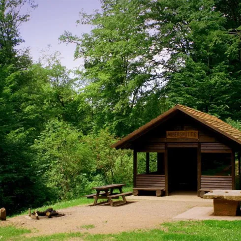 Eine kleine Holzhütte umgeben von üppigem Grün. Vor der Hütte steht ein Picknicktisch.