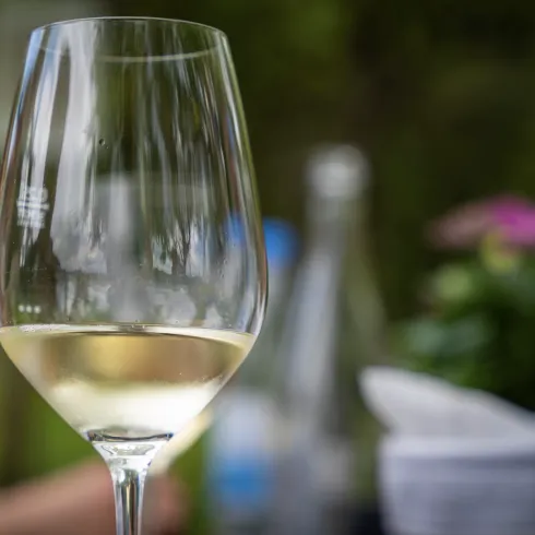 Ein elegantes Glas Weißwein steht im Vordergrund. Im Hintergrund sind Pflanzen und Flaschen zu sehen.