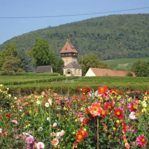 das Julius Kühn Institut (Geilweilerhof) (© Waltraud Kappes)