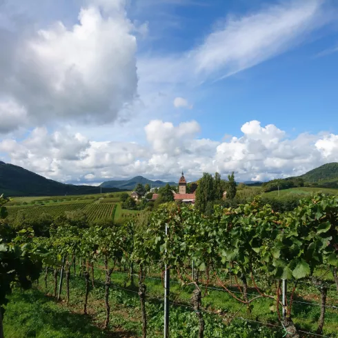 Blick auf den Geilweilerhof Blick auf den Geilweilerhof