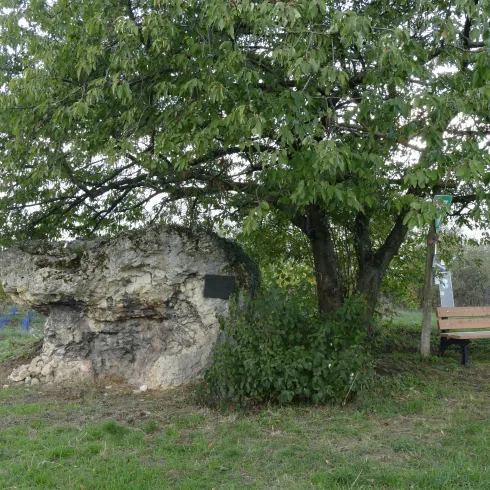 Katzenstein Bockenheim