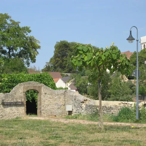 Ein Garten mit einem alten Steinbogen und einem Blick auf einen Kirchturm. Umgeben von Bäumen und einem blauen Himmel.