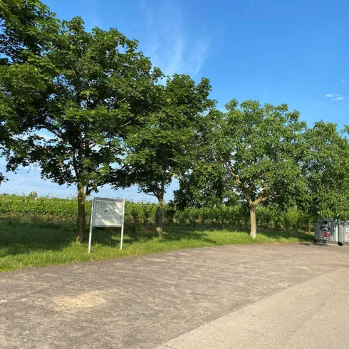 Parkplatz Bockenheim Nord