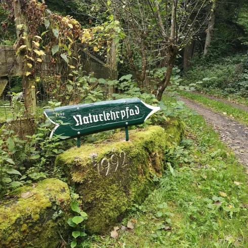 Ein Wegweiser zum Naturlehrpfad steht auf einem moosbewachsenen Stein. Im Hintergrund ist ein schmaler Pfad durch einen grünen Wald zu sehen.