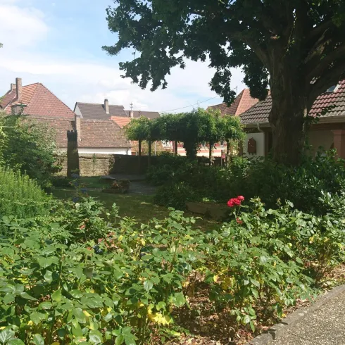 Ein grüner Garten mit vielen Pflanzen und Blumen. Im Hintergrund sind einige Gebäude und ein großer Baum sichtbar.
