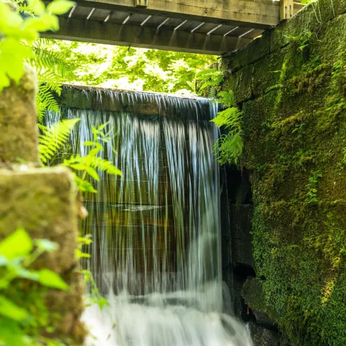 Ein kleiner Wasserfall fließt über moosbedeckte Steine. Im Hintergrund ist eine Holzbrücke zu sehen, umgeben von üppigem Grün.
