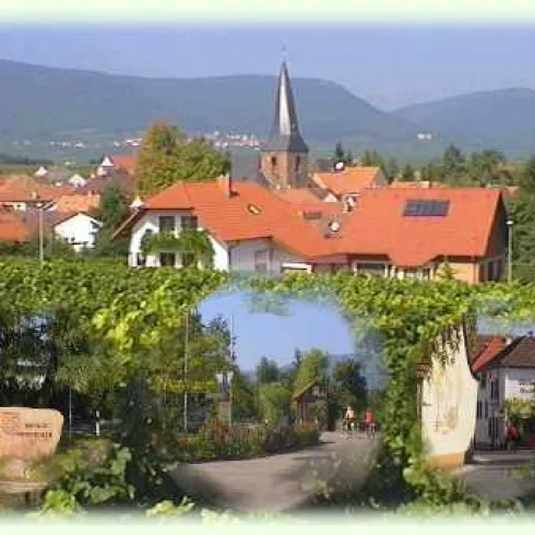 Übersicht Roschbach (© Ortsgemeinde Roschbach)