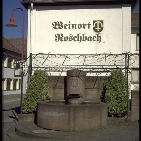 Martini Kerwe (© Verein SÜW Edenkoben)