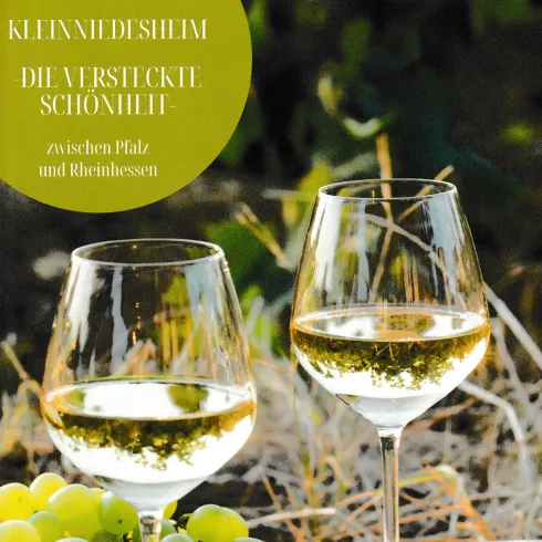 Zwei Weingläser mit weißem Wein stehen neben Trauben auf einem Holztisch. Im Hintergrund sind grüne Weinreben zu sehen.