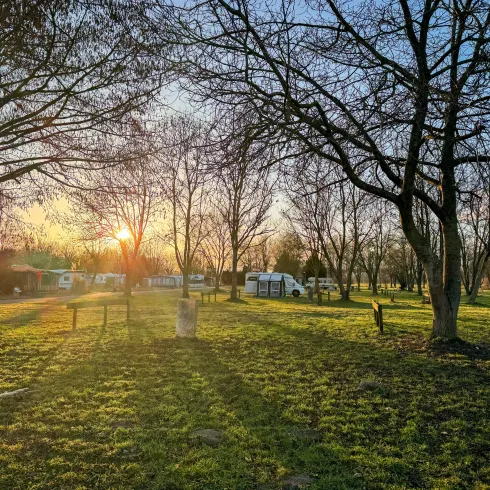 Ein Campingplatz mit einem detaillierten Lageplan und verschiedenen Stellplätzen. Im Vordergrund ist eine Familie vor einem Zelt zu sehen, die die Natur genießt.