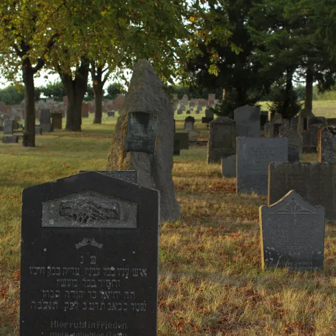 Ein Friedhof mit aufrecht stehenden Grabsteinen und herbstlichen Bäumen. Die Umgebung ist ruhig und friedlich.